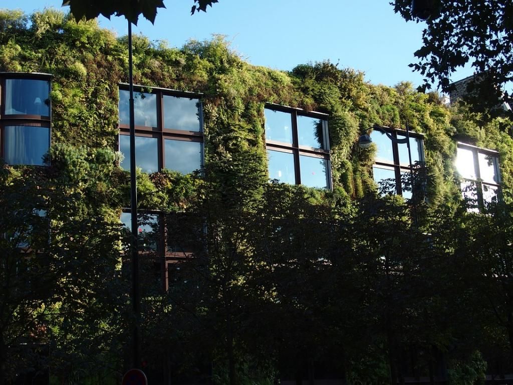 Des murs végétaux aux quatre coins de Paris