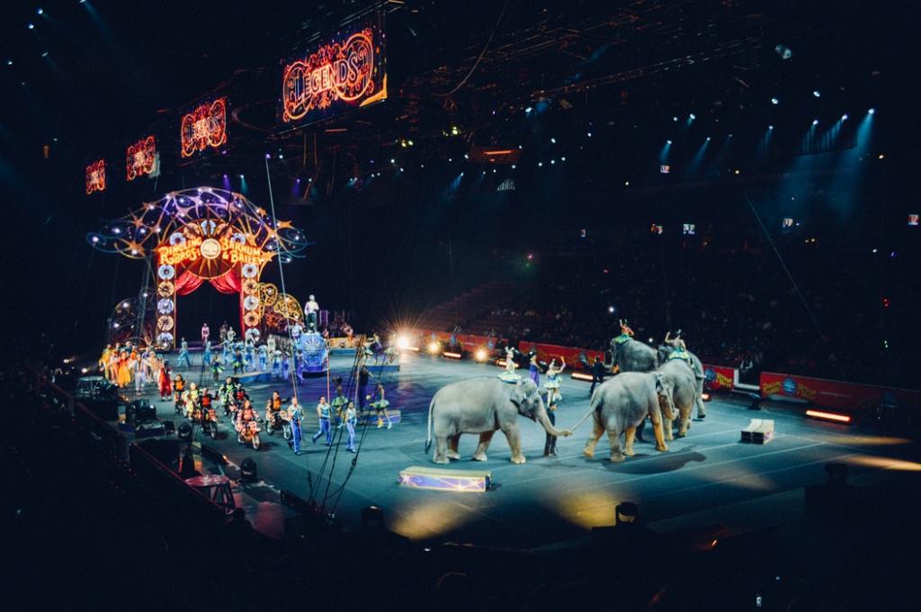 Une soirée magnifique au Cirque d'Hiver