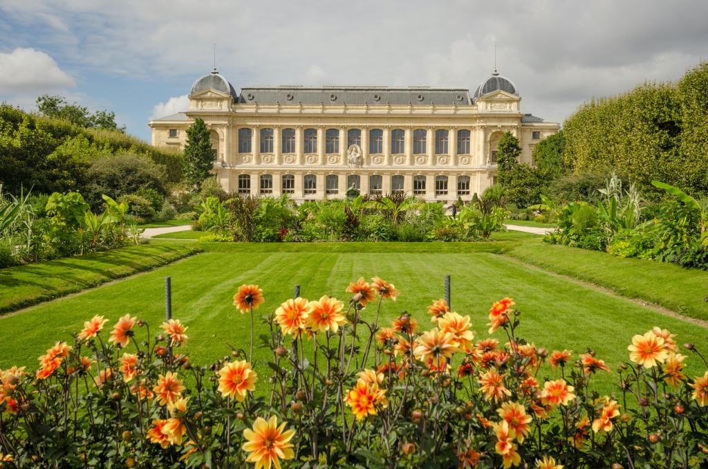 Jardin des Plantes Paris : une promenade au soleil