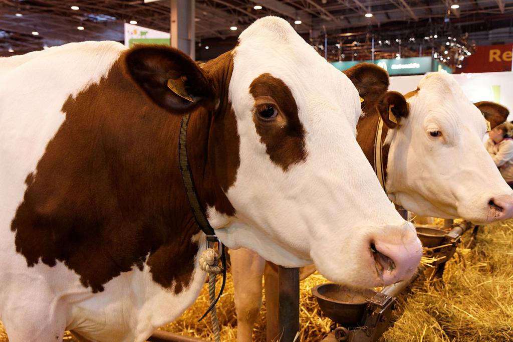 Experience the first Parisian trade fairs of 2016